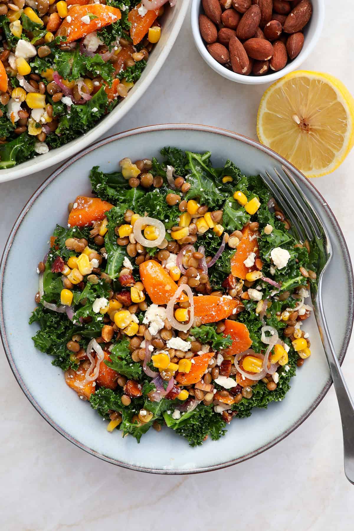 Carrot, lentil and kale salad served in a bowl with a fork.