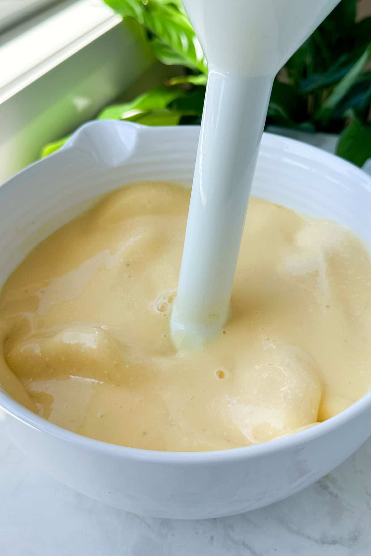 Blending eggs and cottage cheese together with immersion blender.