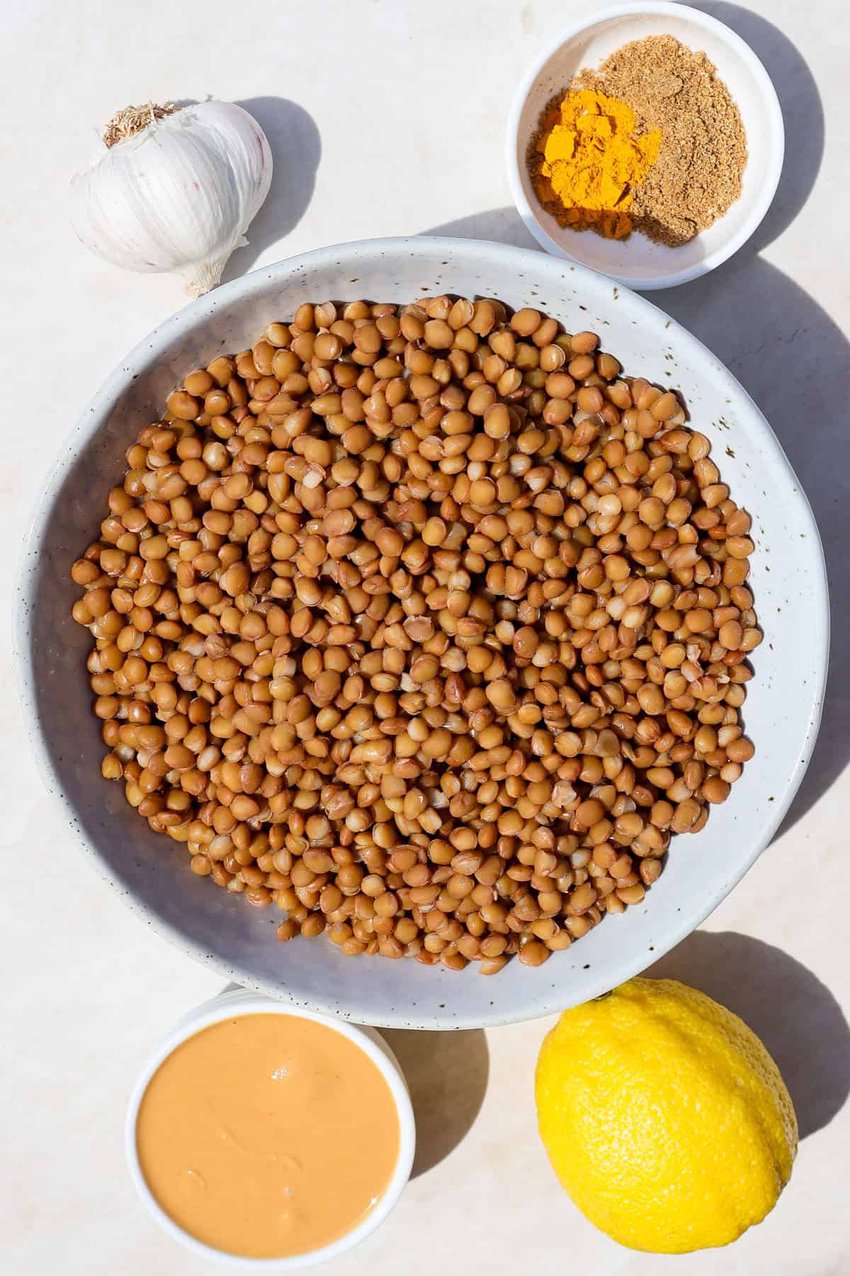 Ingredients shown to make the hummus.